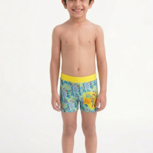 Boys’ Disney Howdy Partner Swim Shorts
